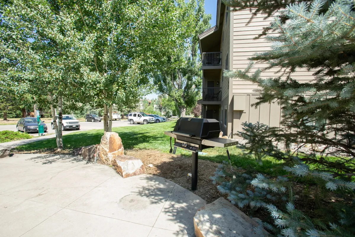 A casual exterior BBQ area featuring a grill, natural stone seating, green grass, and mature trees. The space is designed for outdoor dining and gathering with friends, evoking warm-weather fun and communal moments.